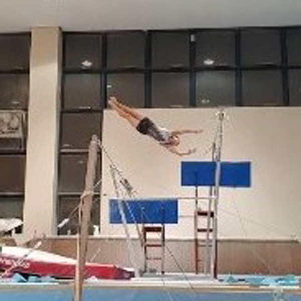 이단평행봉